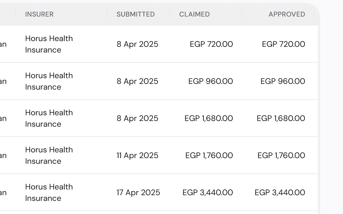 The insurance claims list with delivered claims waiting for the month's batch to each insurer.