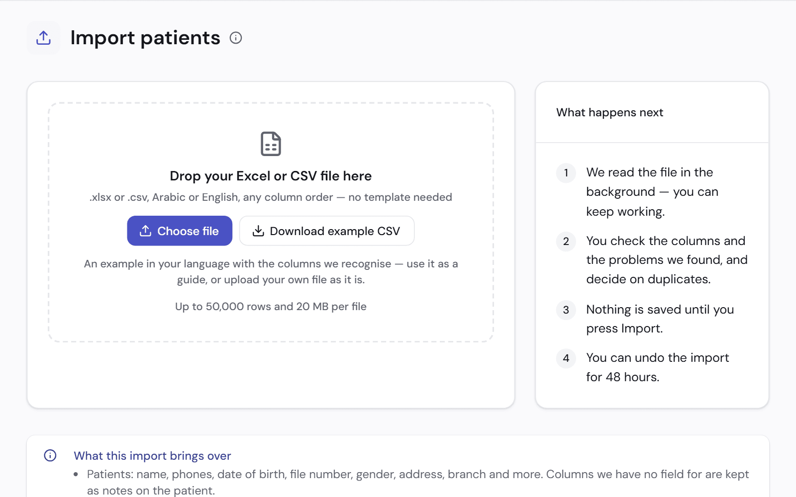 The patient import page: a box to drop an Excel or CSV file, and the four steps that follow, ending with undo for 48 hours.